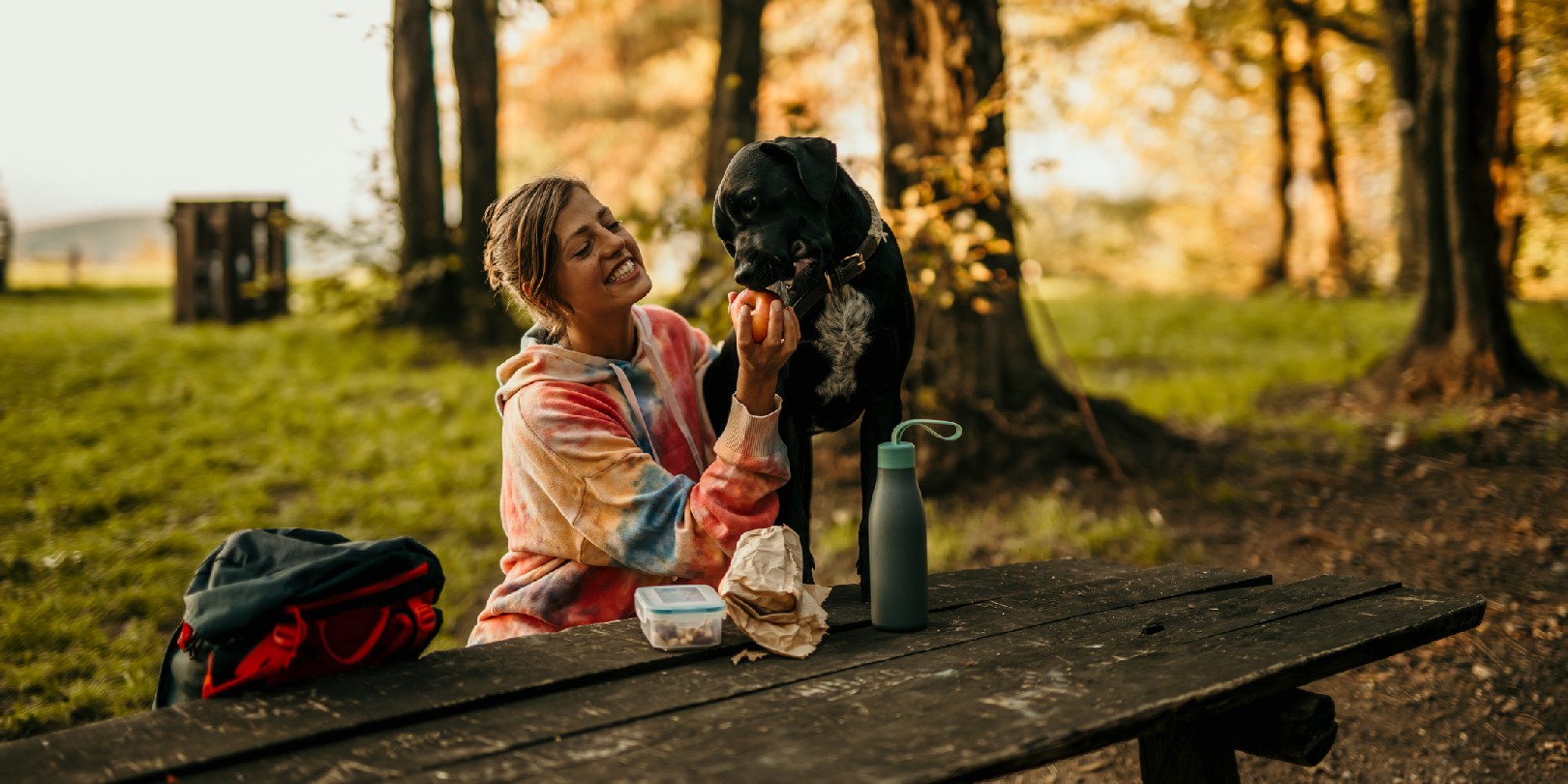 A smiling woman sitting on the bench with her dog in the mountains and having a break from a hike.