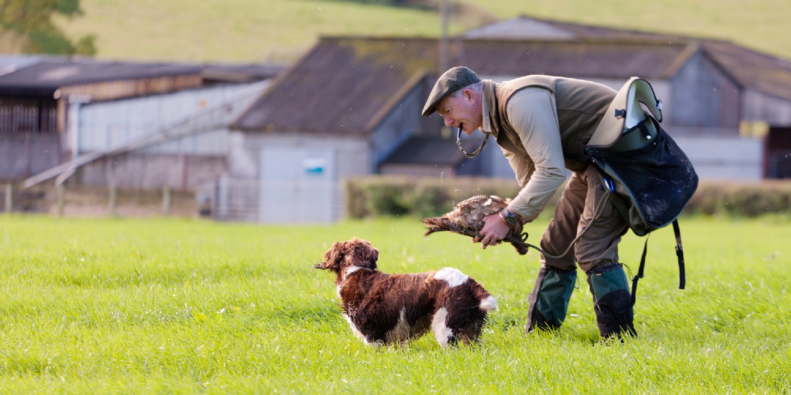 A Gamekeeper praising his Springer Spaniel, Devon, UK